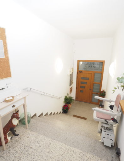 Replà